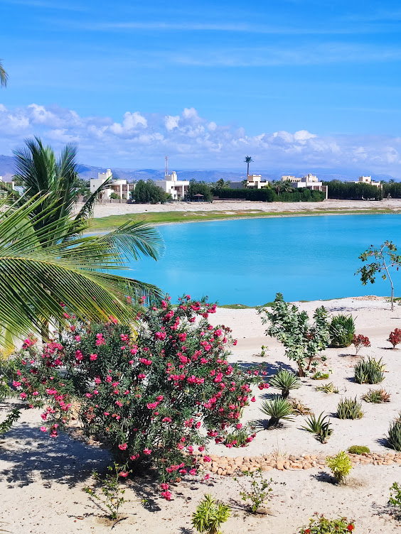 آپارتمان 2 خوابه برای فروش در صلاله | OMR 120,000 | Tamlik عمان thumbnail 5