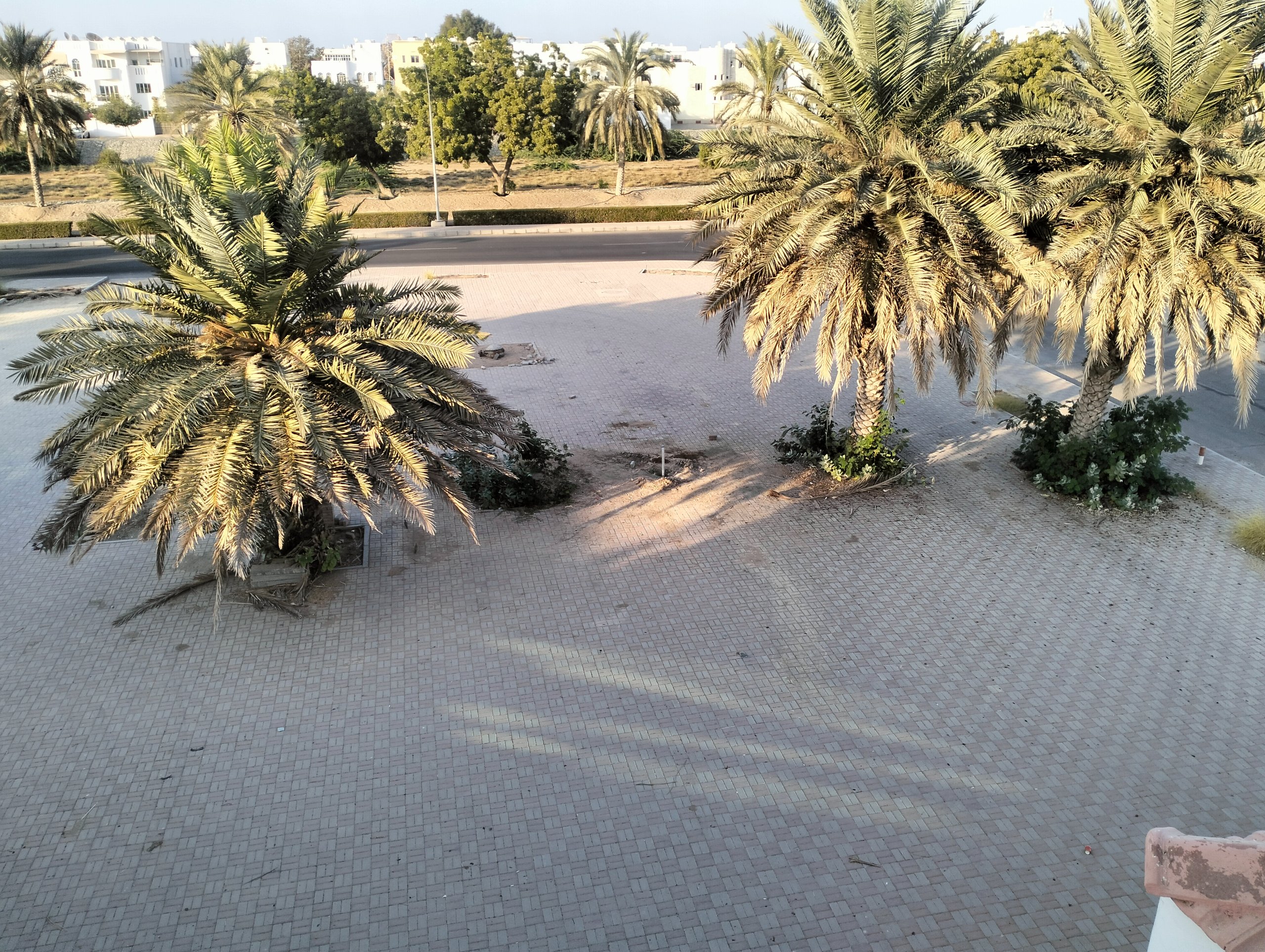 6-Bed Villa for Sale in Al Ghubra | OMR 300,000 | Tamlik Oman thumbnail 11